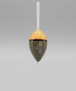 Tortue Yuvarlak Mantar