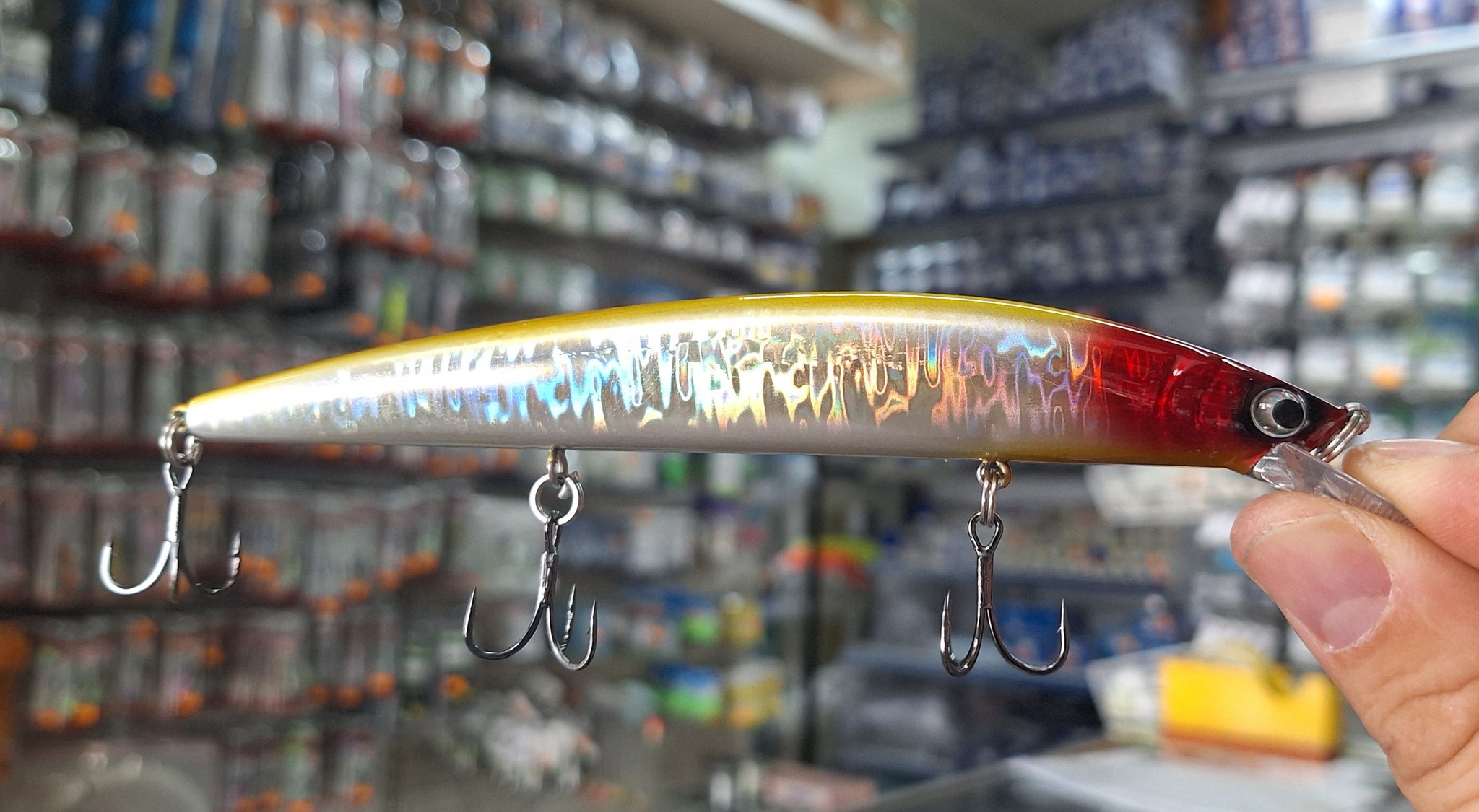 571309191_1387038573127547_1844018747365195527_n