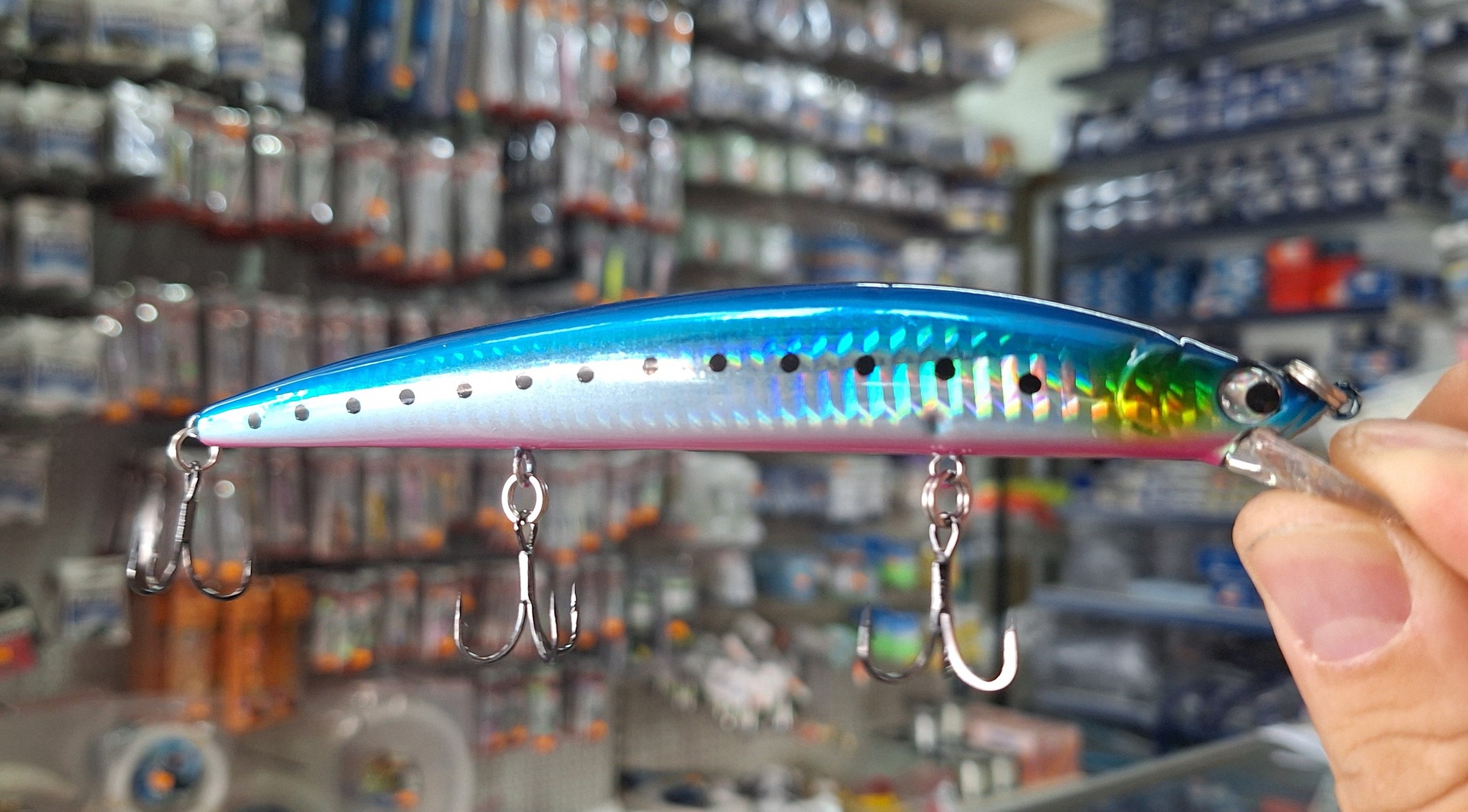 572027641_1387038519794219_3425535927816793759_n